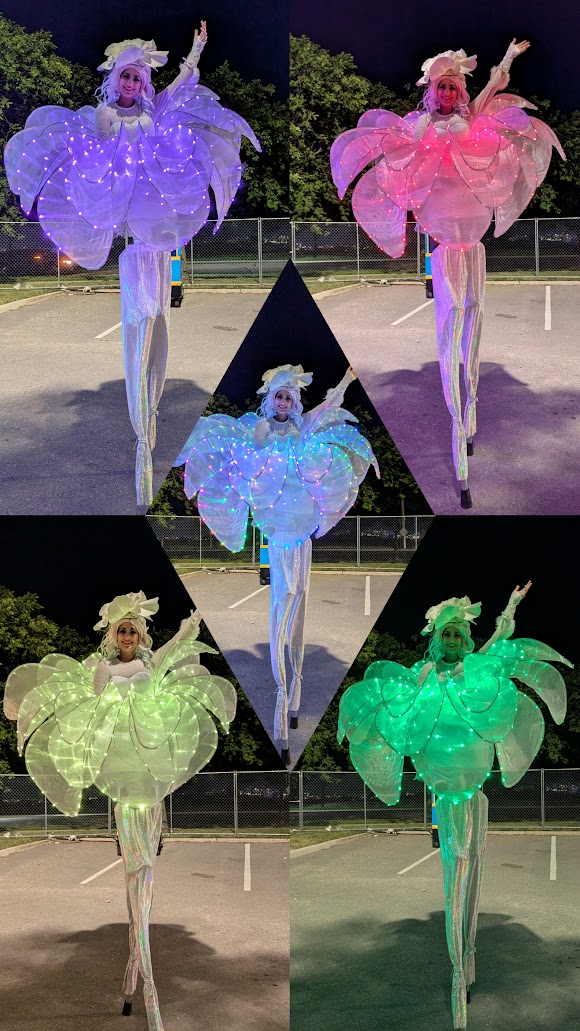 Spring Garden and Enchanted Forest performer 2